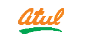 Company name logo