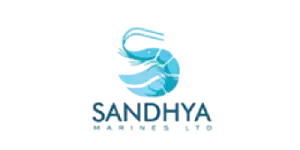 Company name logo