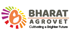 Company name logo