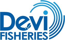 Company name logo
