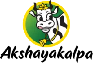 Company name logo