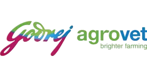 Company name logo